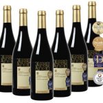 12 Flaschen Bodegas Olarra Cerro Añon Rotwein für 34,98€