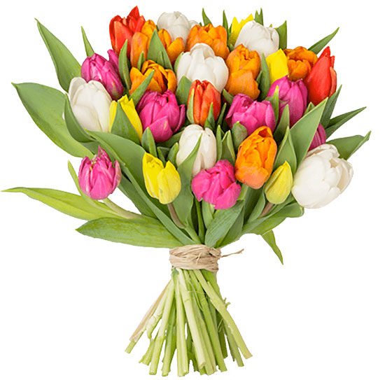 Blumenstrauß Tulpen Angebot Deal