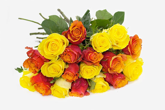 Rosen Bunt Strauß Florist günstig online kaufen Blumenversand Rosenversand