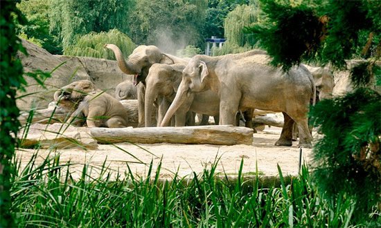 Deal Köln Zoo Tagesticket Aquarium Angebot Sparen