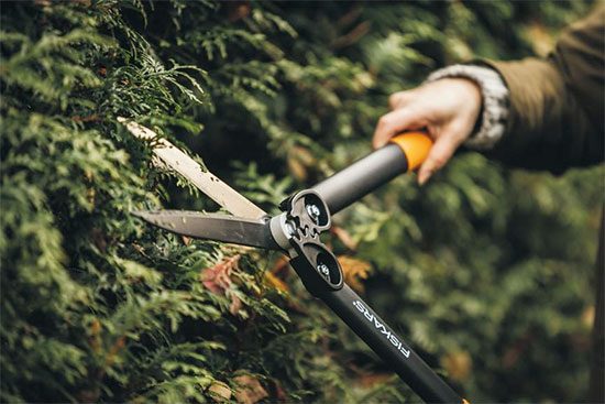 Fiskars getriebe Heckenschere angebot deal