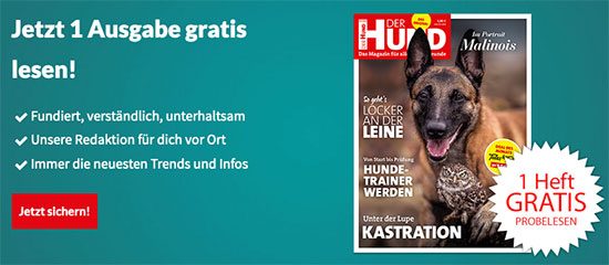 ausgaben zeitung der hund fachzeitschrift tier