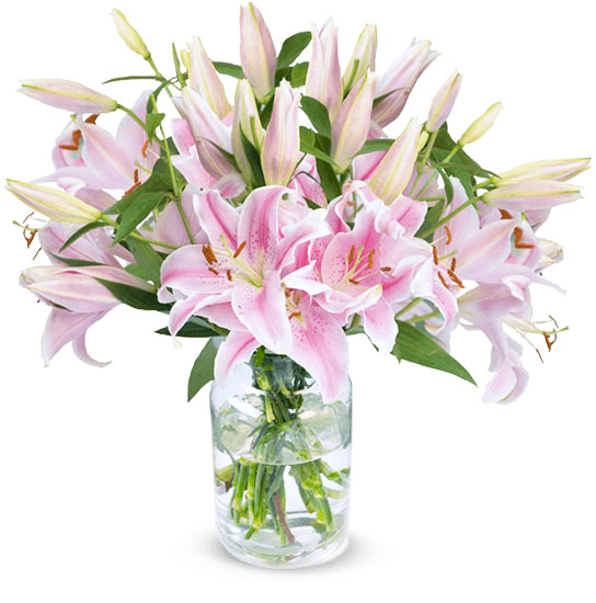 Blumenstrauß mit 12 pinken Lilien für 18,98€ inkl. Versand