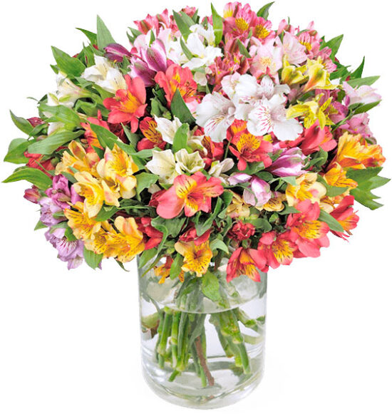 Blumenstrauß Deal Sparen Rabatt Angebot