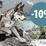 Zooplus: 10% Rabatt auf Wolf of Wilderness